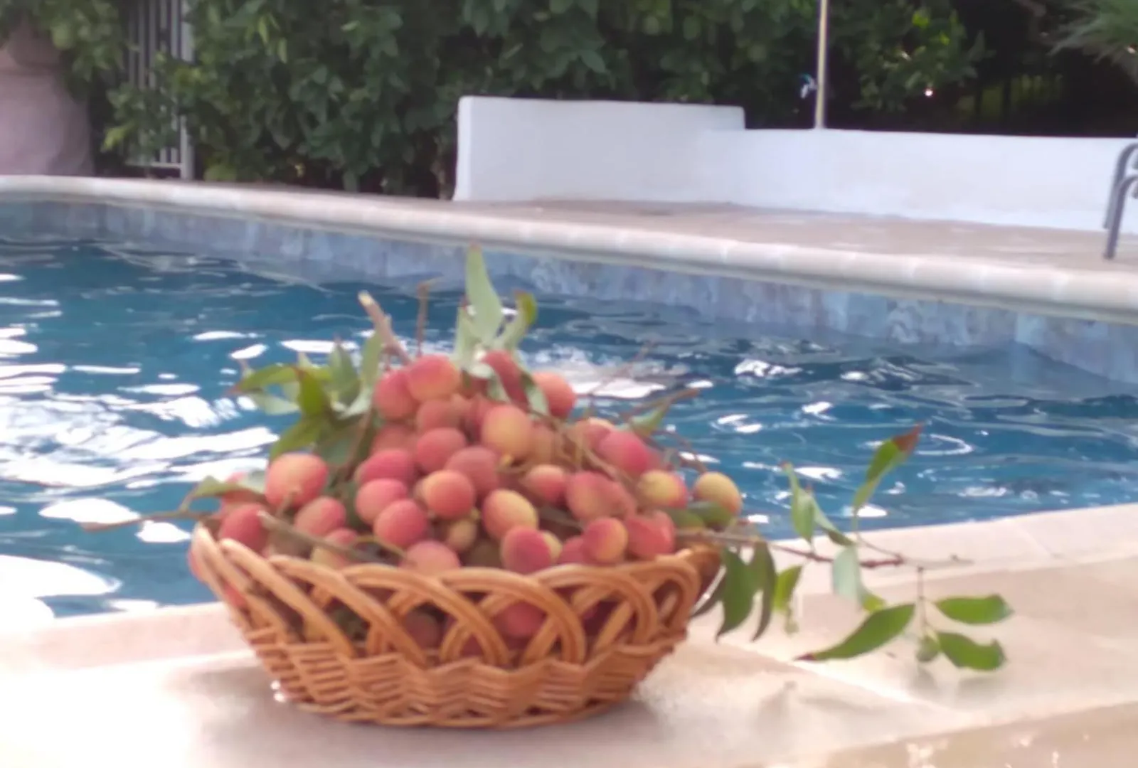 Cortijo Del Sidi Villa Motril